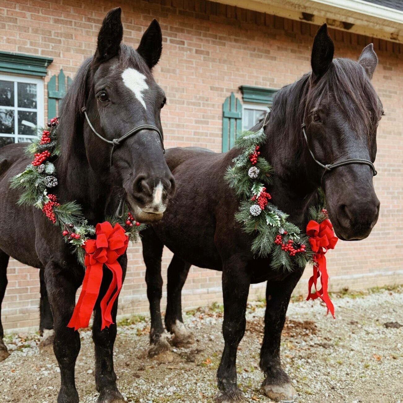 horses with wreaths